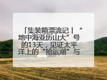 集装箱漂流记丨“地中海亚历山大”号的13天，见证太平洋上的“抢运潮”与“过剩潮”